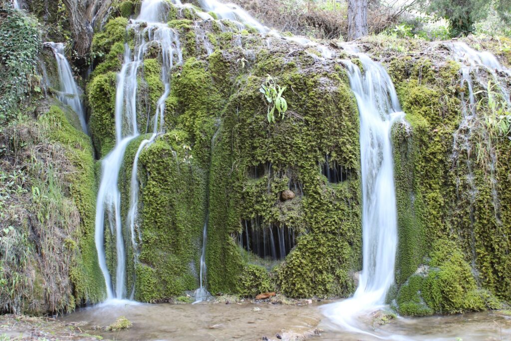 Pareidolie - Wasserfall